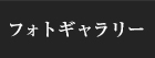 フォトギャラリー
