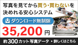 見てから選べるのにこの価格！約300カット32,000円。詳しくはこちらから