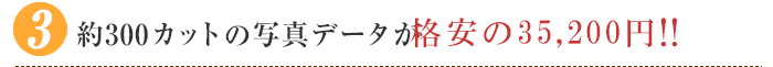 約300カットの写真データが格安の32,000円